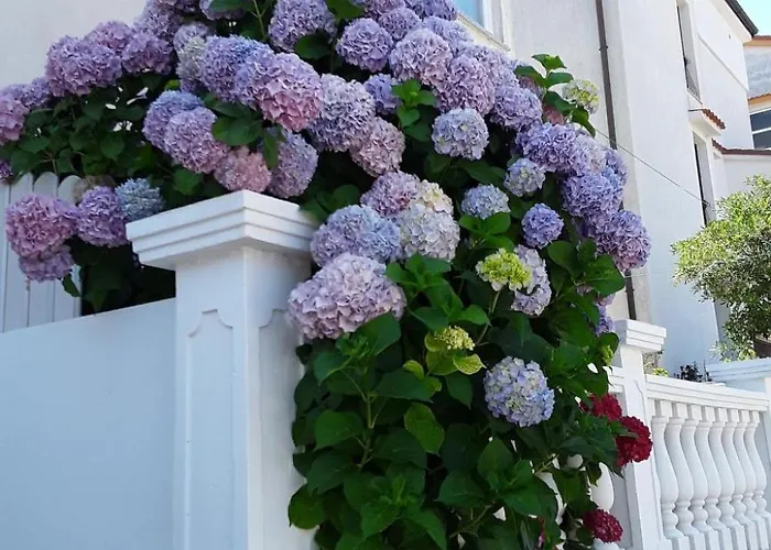 Apartman Meri 5 By Interhome